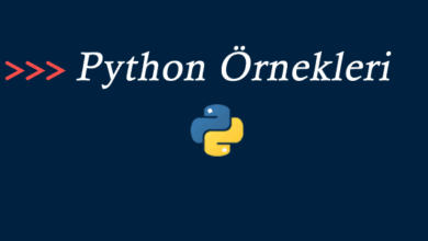 Python Fonksiyon Kullanarak Kullanıcının Girdiği Sayılardan Büyük Olanı Bulma – Web Tasarım & Programlama