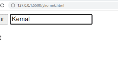 JavaScript Text Kutusunda Enter’a Basınca Buton Çalıştırma – Web Tasarım & Programlama
