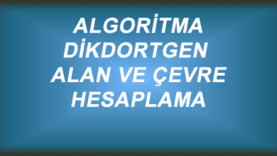 Algoritma – Dikdörtgen Alan ve Çevre Hesaplama – Web Tasarım & Programlama