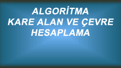 Algoritma – Kare alan ve Çevre Hesaplama – Web Tasarım & Programlama