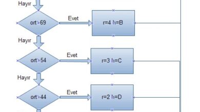 Algoritma Nedir? – Web Tasarım & Programlama