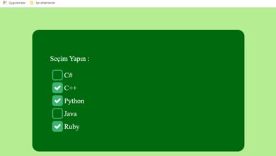 CSS ile Checkbox’ lara Stil Verme (Kod + Video)