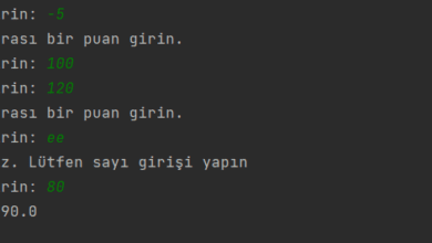Python Ortalama Hesaplama – Sadece 0-100 Arası Sayı Girişi Kabul Edilsin – Web Tasarım & Programlama
