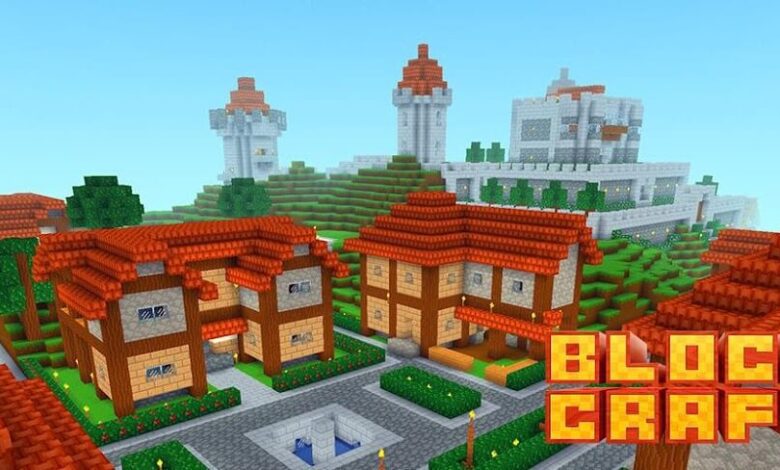 Block Craft 3D