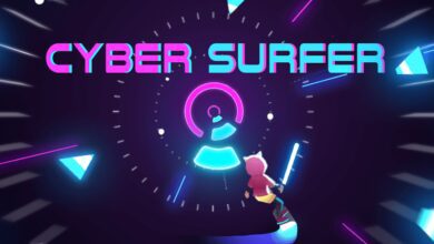 Cyber Surfer