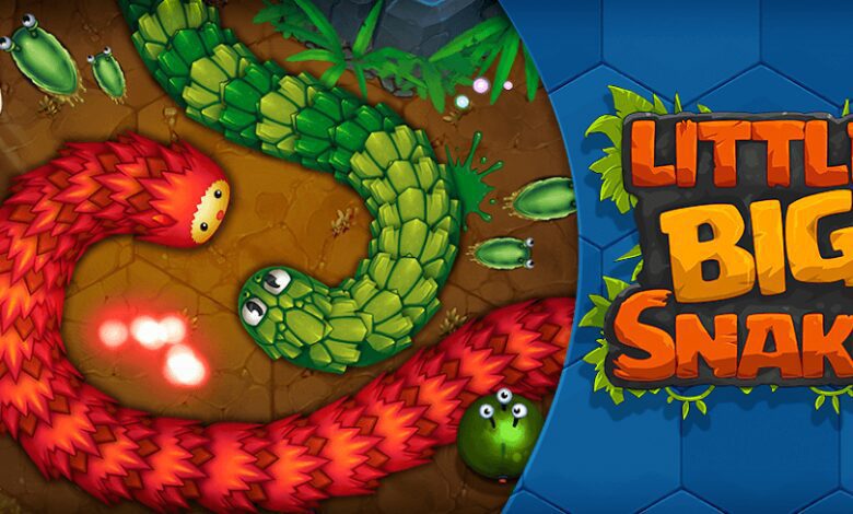 Little Big Snake