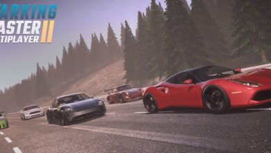 Parking Master Multiplayer 2