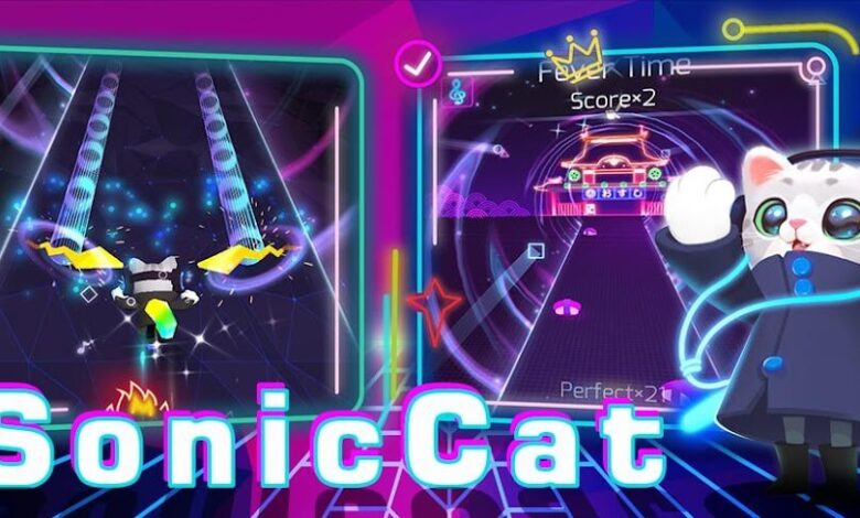 Sonic Cat