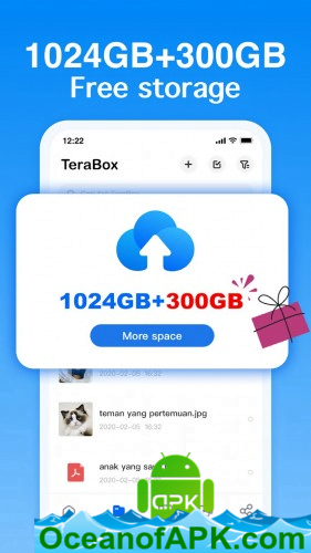 TeraBox: Cloud Storage Space v3.14.1 [Premium] APK Free Download