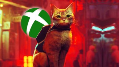 Popüler Kedi Simülatörü Stray, Nihayet Xbox'a da Geldi: Türkiye Fiyatı Ne Kadar?