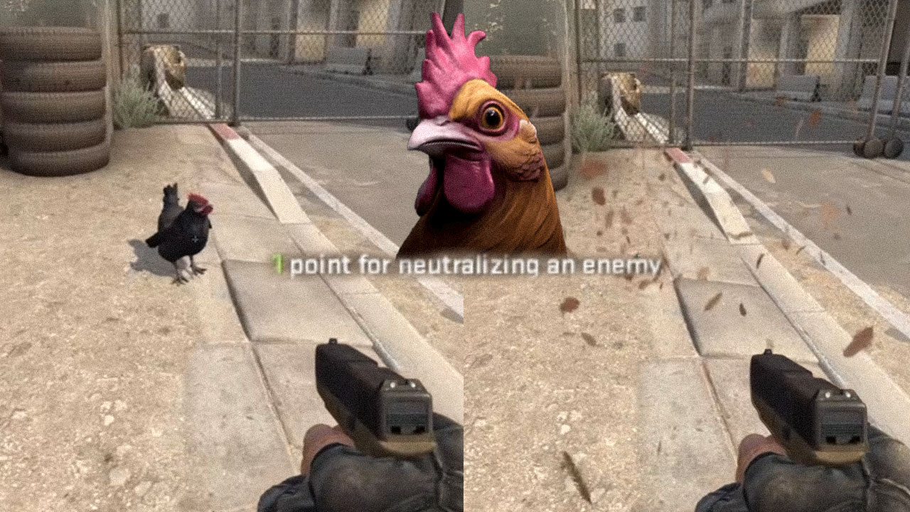 csgo deathmatch kill chicken 