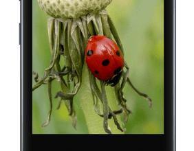 Photoshop-Express-Photo-Editor-v10.0.17-Premium-APK-Free-Download-1-OceanofAPK.com_.png