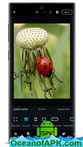 Photoshop-Express-Photo-Editor-v10.0.17-Premium-APK-Free-Download-1-OceanofAPK.com_.png