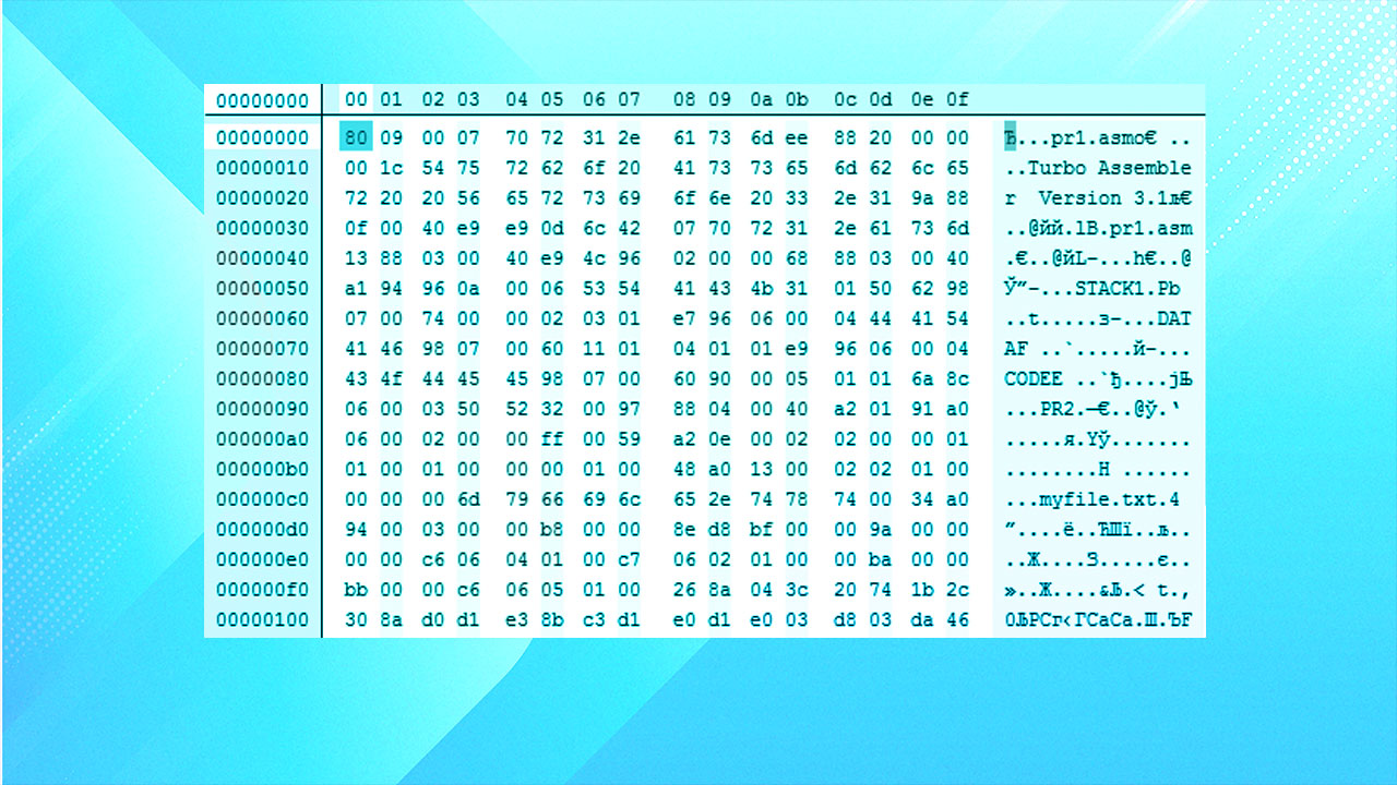 Hex Editing