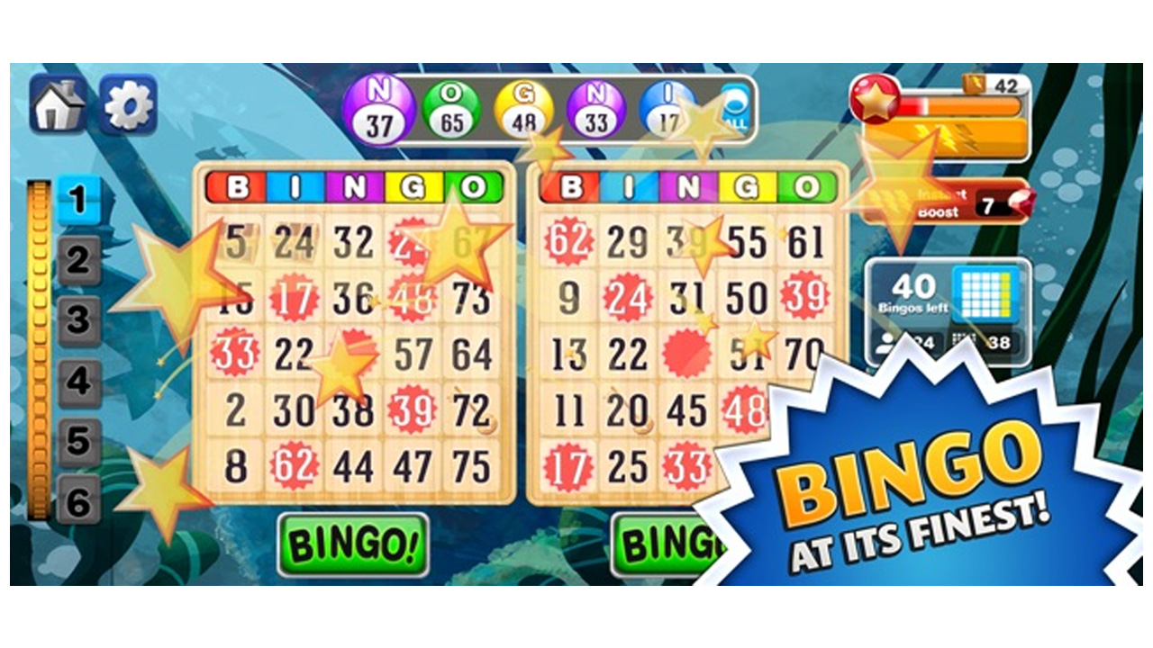 Bingo Shutdown