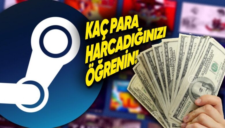 Steam'de Toplam Kaç Para Harcadığınızı Gösteren Özellik