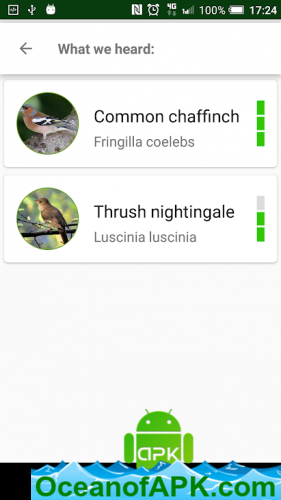 BirdNerd - Bird Song Identifier v0.9.4-beta1 [Subscribed] APK Free Download