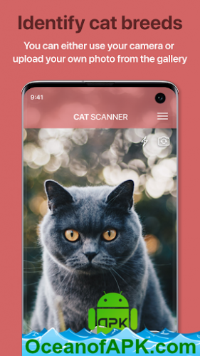 Cat Scanner: Breed Recognition v12.15.7-G [Premium] APK Free Download