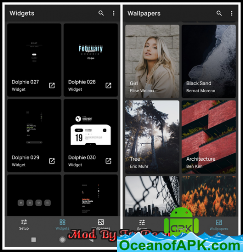 Dolphie for KWGT v1.2.9 [Mod] APK Free Download