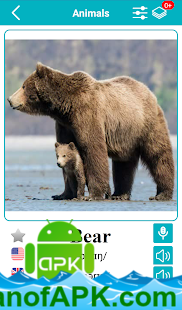 English Animals Vocabulary v20.01 [Premium] APK Free Download