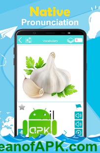 French 5000 Words with Pictures v20.02 [PRO] APK Free Download