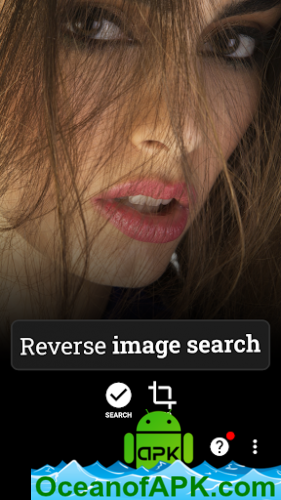 Picture Sherlock Search by photograph v1.85 (Professional) APK Free Obtain