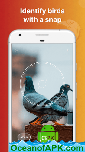 Picture Bird - Bird Identifier v2.9.11 [Premium] APK Free Download