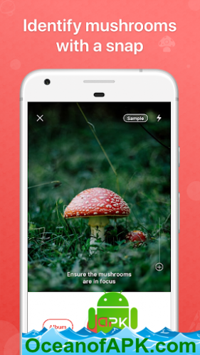 Picture Mushroom - Mushroom ID v2.8.14 [Premium] APK Free Download