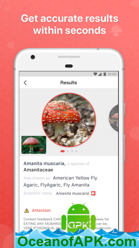 Picture Mushroom - Mushroom ID v2.9.8 [Premium] APK Free Download