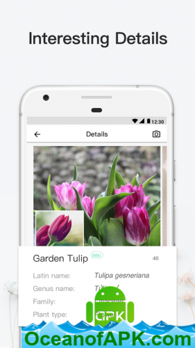 PictureThis: Identify Plant, Flower, Weed and More v3.0 [Gold] APK Free Download