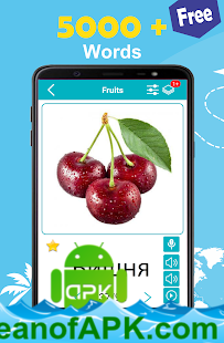 Russian 5000 Words with Pictures v20.06 [PRO] APK Free Download