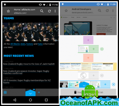 Sleipnir Mobile Black Edition v3.7.0 [Paid] APK Free Download