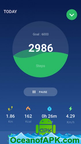 Step Counter – Pedometer v1.2.9 (Professional) APK Free Obtain