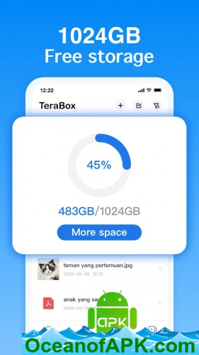 TeraBox: Cloud Storage House v3.3.2 (Mod) APK Free Obtain