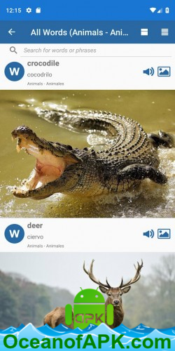 Phrase Image Dictionary Professional v1.1 (Patched) APK Free Obtain