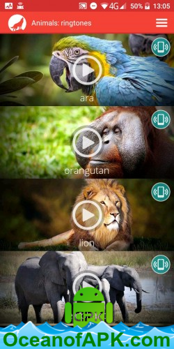 Animals: ringtones v4.1 [Ad Free] APK Free Download