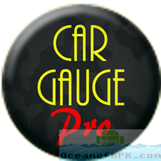 Automotive Gauge Professional OBD2 With Improve APK Free Obtain