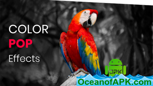 Coloration Pop Results Photograph Editor v4.0 (Professional) APK Free Obtain
