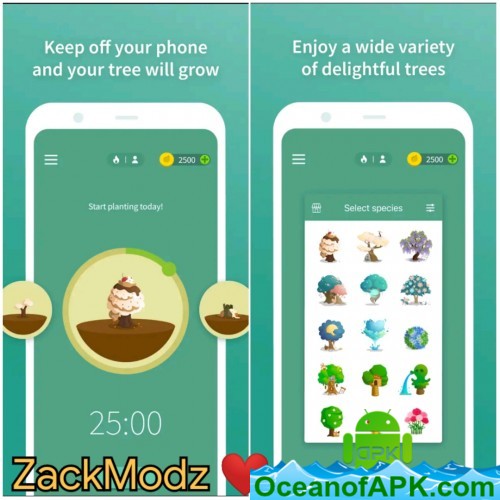 Forest: Keep targeted v4.29.3 (Premium) APK Free Obtain
