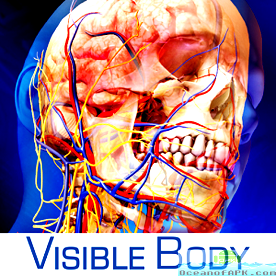Human Anatomy Atlas from Visible Body APK Free Download
