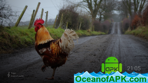 Photo Gallery and Screensaver v2.25.18 [Premium] APK Free Download