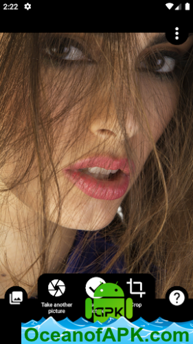 Picture Sherlock Search by photograph v1.67 (Professional) APK Free Obtain