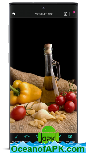 PhotoDirector Photo Editor App v14.2.0 [Premium] APK Free Download