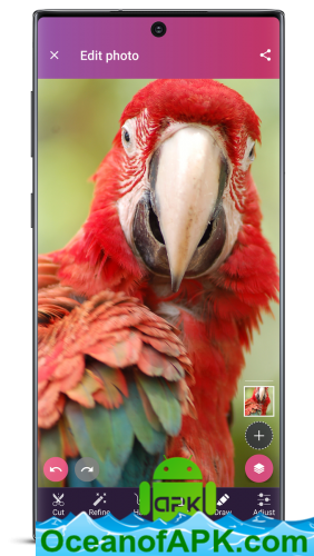 Pixomatic photo editor v4.6.1 [Premium] APK Free Download
