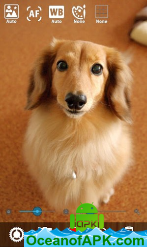 Silent Camera [High Quality] v7.6.4 [Premium] APK Free Download