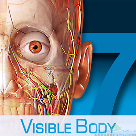 Seen Physique 3D Anatomy Atlas Last APK Free Obtain