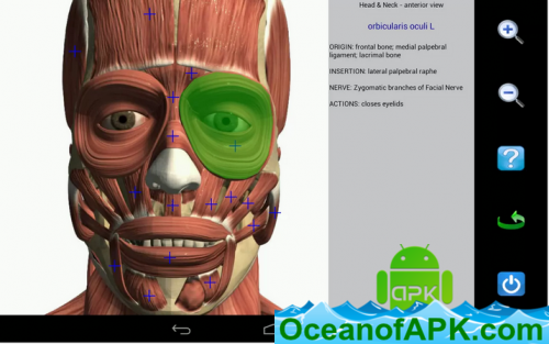 Visual Anatomy v5.1 APK Free Download