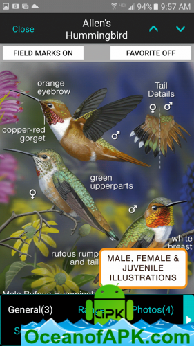 iBird Pro Birds North America v7.0.525 APK Free Download