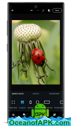 Adobe Photoshop Express:Photo Editor Collage Maker v6.4.597 [Premium] APK Free Download