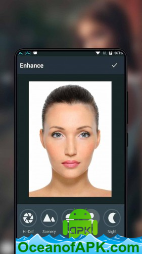 Fox Photo Editor v1.5 [Ad Free] APK Free Download